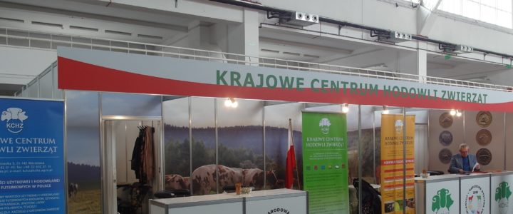 Działalność Działalność